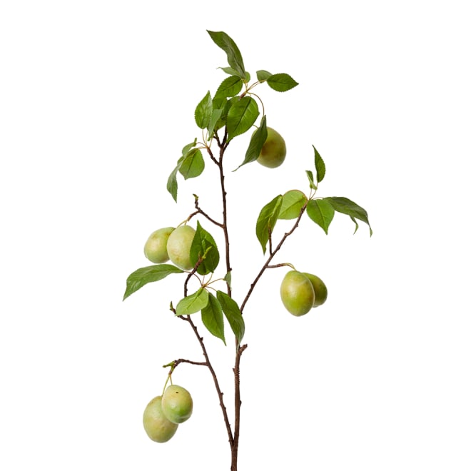Fruit Branch Pack Of 6 - Green, 98cm (H)