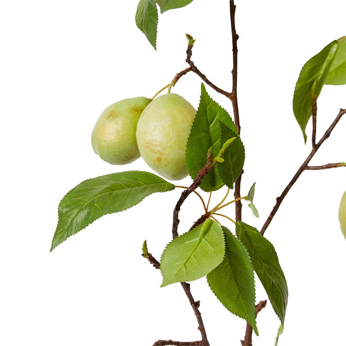 Fruit Branch Pack Of 6 - Green, 98cm (H)