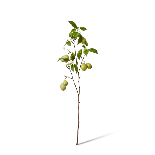 Fruit Branch Pack Of 6 - Green, 98cm (H)