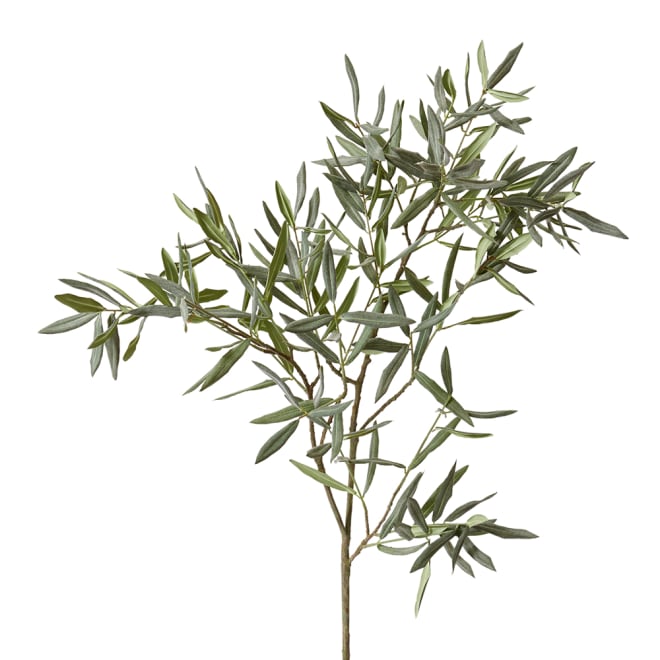 Olive Branch Pack Of 2 - Grey Green, 120cm (H)