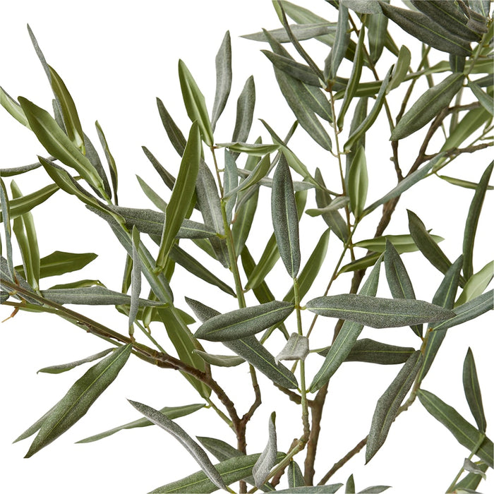 Olive Branch Pack Of 2 - Grey Green, 120cm (H)