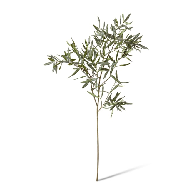 Olive Branch Pack Of 2 - Grey Green, 120cm (H)