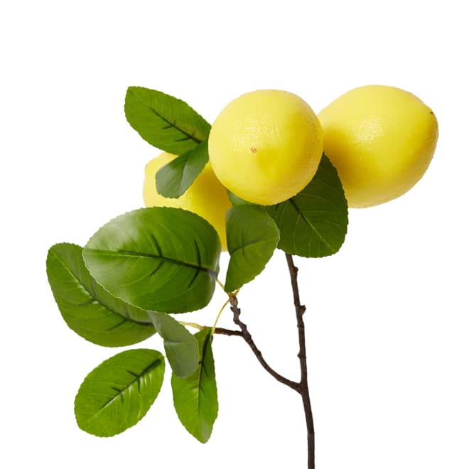 Lemon Branch Spray Pack Of 12 - Yellow/Green, 51cm (H)