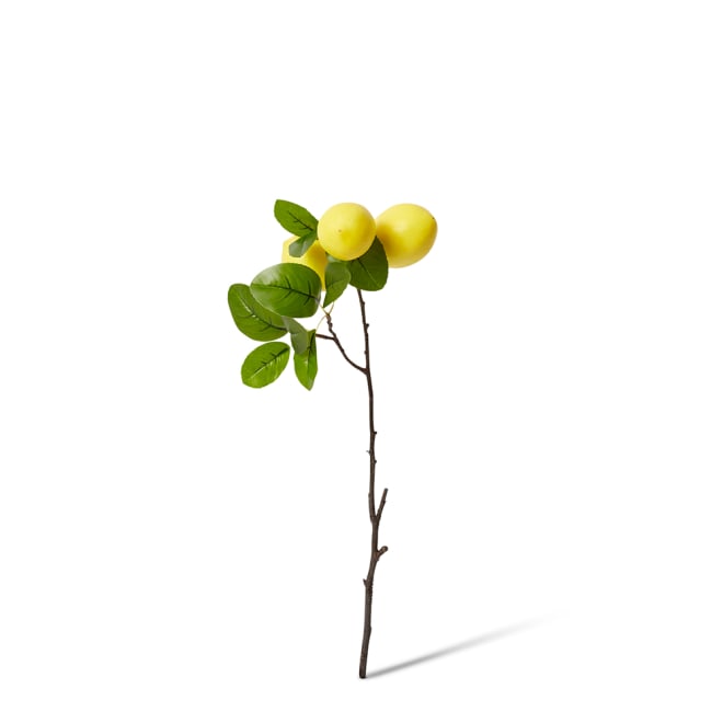 Lemon Branch Spray Pack Of 12 - Yellow/Green, 51cm (H)