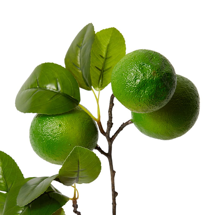 Lime Branch Spray Pack of 12 - Green/Green, 51cm (H)