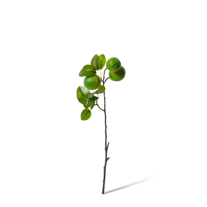 Lime Branch Spray Pack of 12 - Green/Green, 51cm (H)