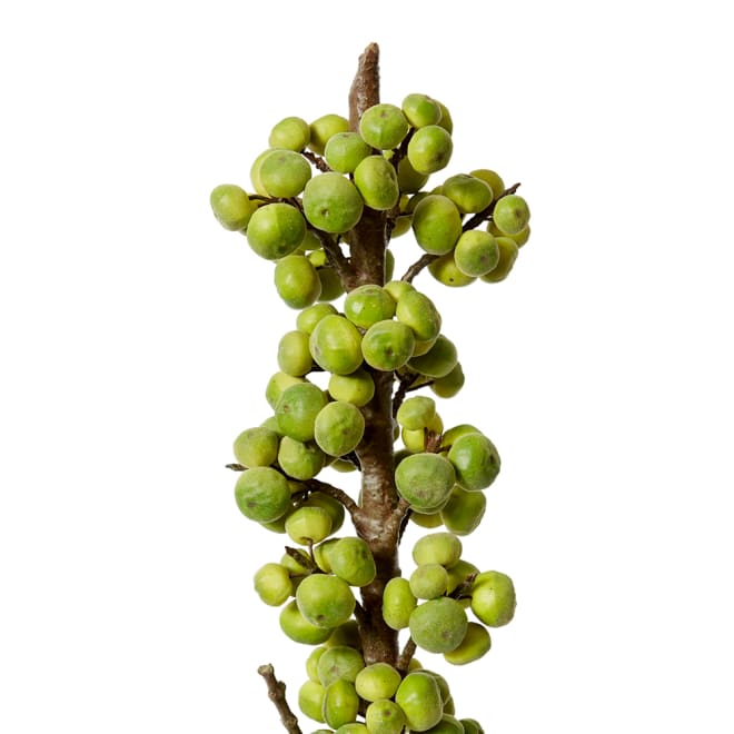 Fig Branch Pack Of 2 - Green, 91cm (H)
