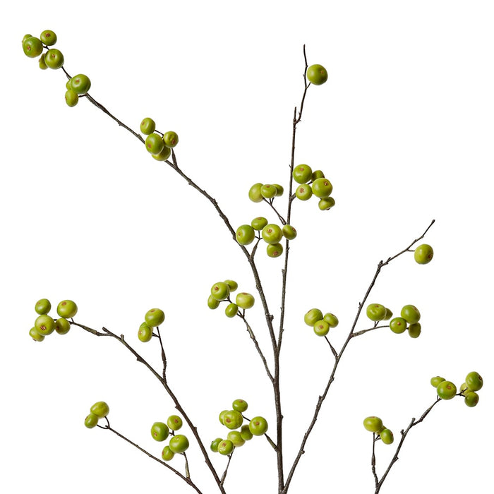 Berry Branch Pack of 12 - Green, 105cm (H)