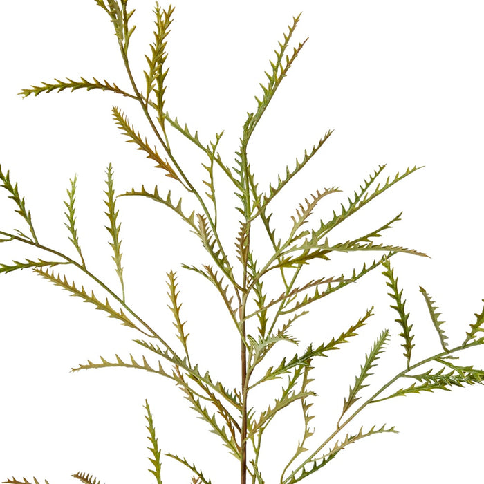 Grevillea Spray Pack of 12 - Green, 90cm (H)