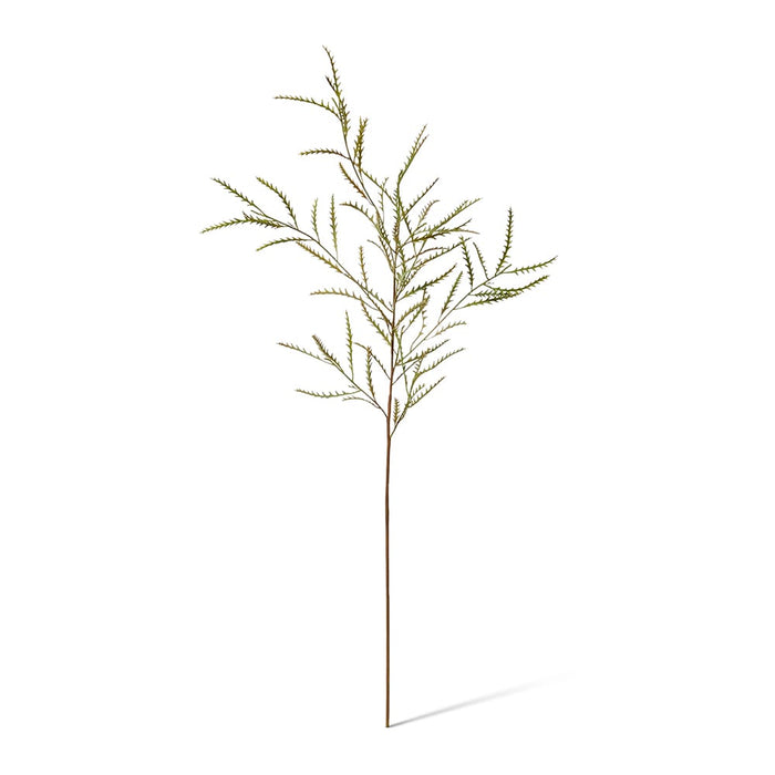 Grevillea Spray Pack of 12 - Green, 90cm (H)