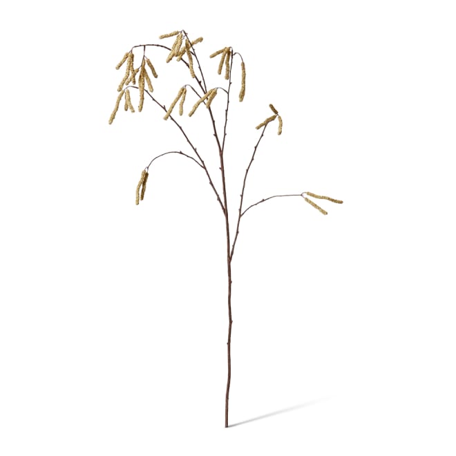 Catkins Spray Pack Of 12 - Brown, 109cm (H)