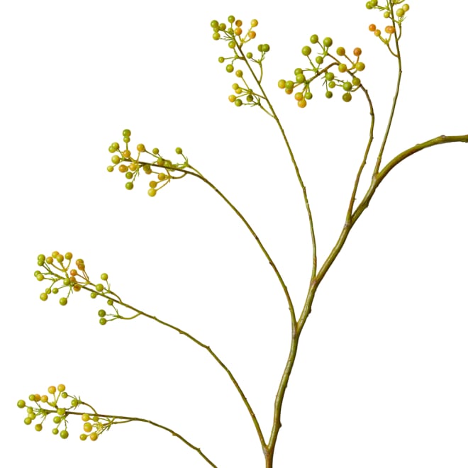 Seeding Branch Spray Pack Of 12 - Green, 142cm (H)