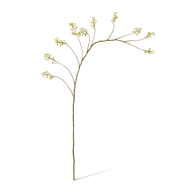 Seeding Branch Spray Pack Of 12 - Green, 142cm (H)