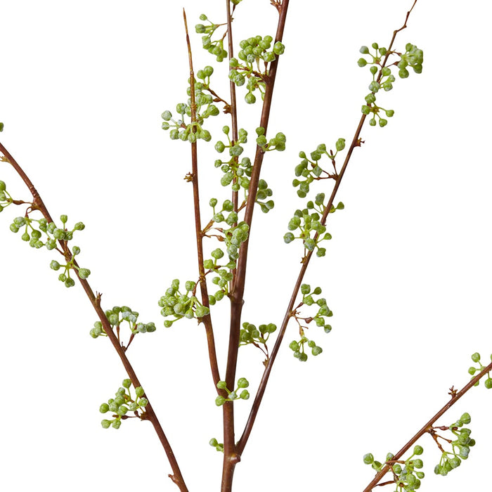 Berry Seeding Branch Pack Of 6 - Green, 122cm (H)