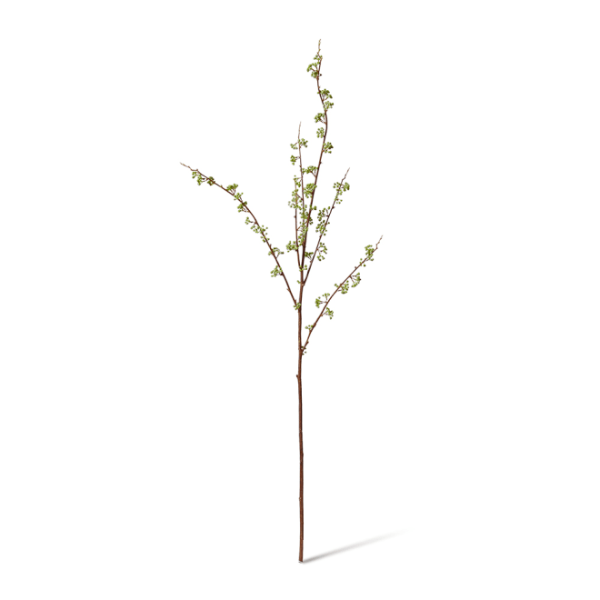 Berry Seeding Branch Pack Of 6 - Green, 122cm (H)