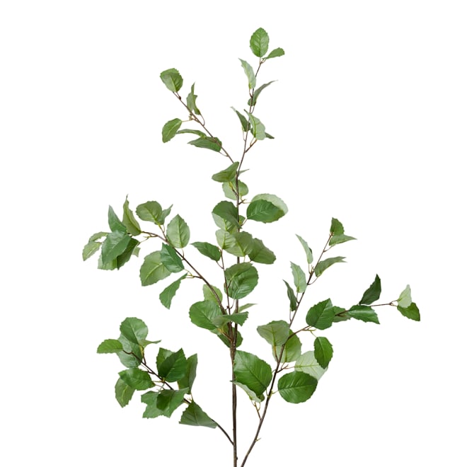 Elm Leaf Spray Pack Of 4 - Green, 122cm (H)