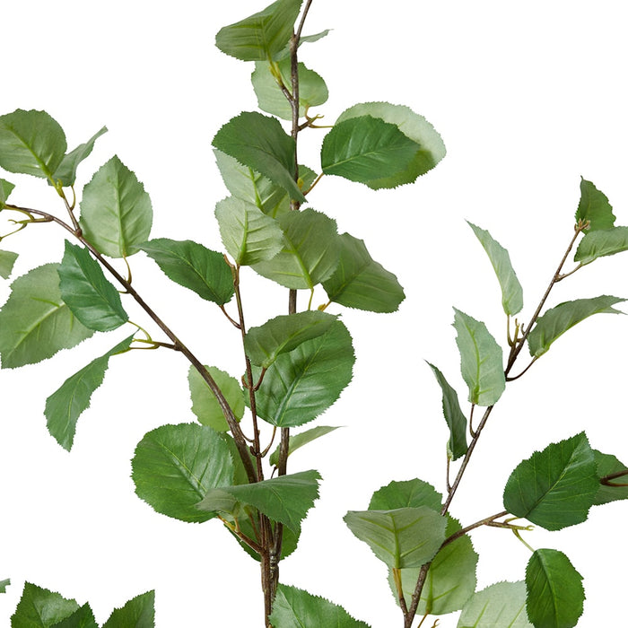 Elm Leaf Spray Pack Of 4 - Green, 122cm (H)