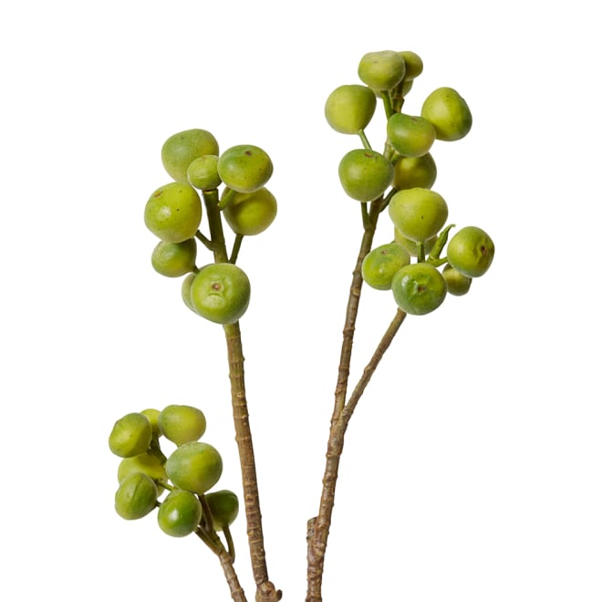 Fig Branch Pack Of 4 - Green, 96cm (H)