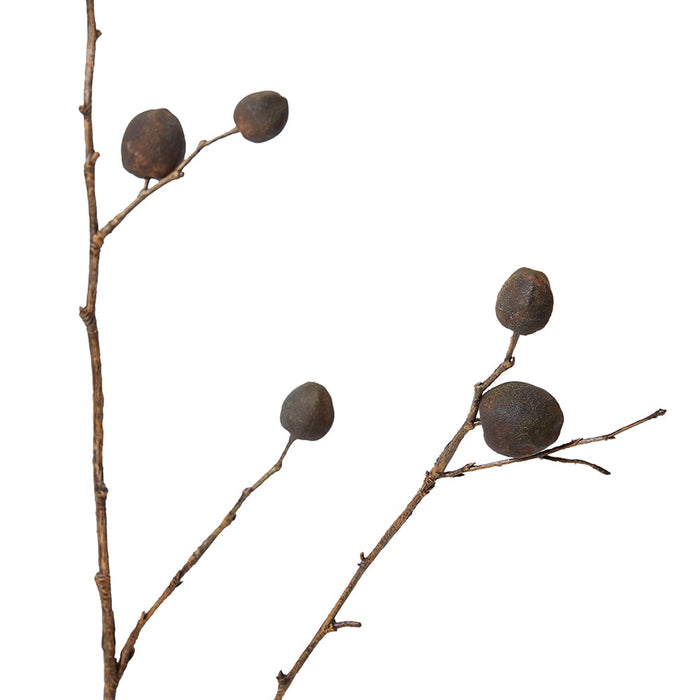 Berry Pod Dried Look Branch Pack of 12 - Dark Brown, 85cm (H)