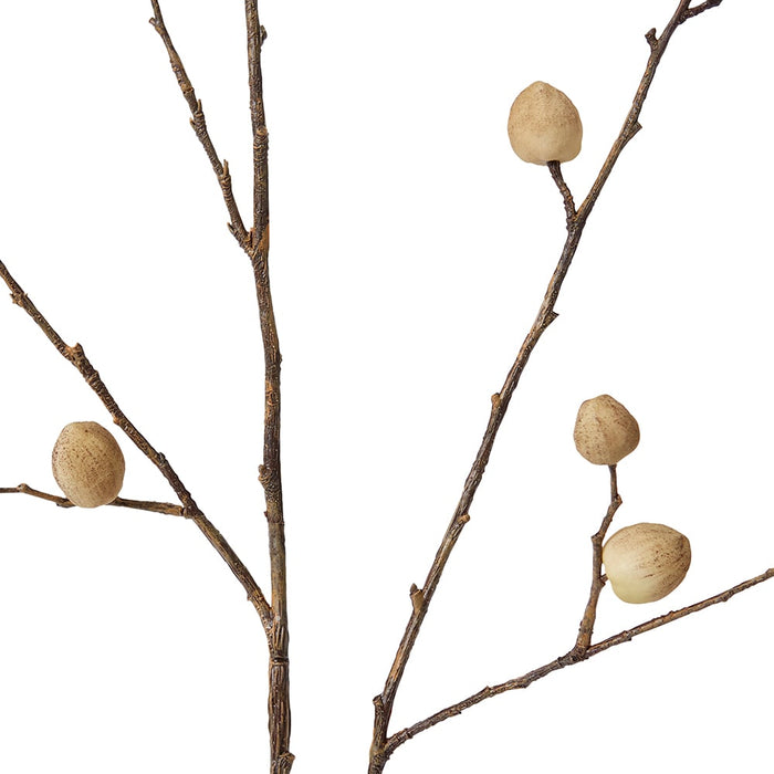 Berry Pod Dried Look Branch Pack of 12 - Natural, 85cm (H)