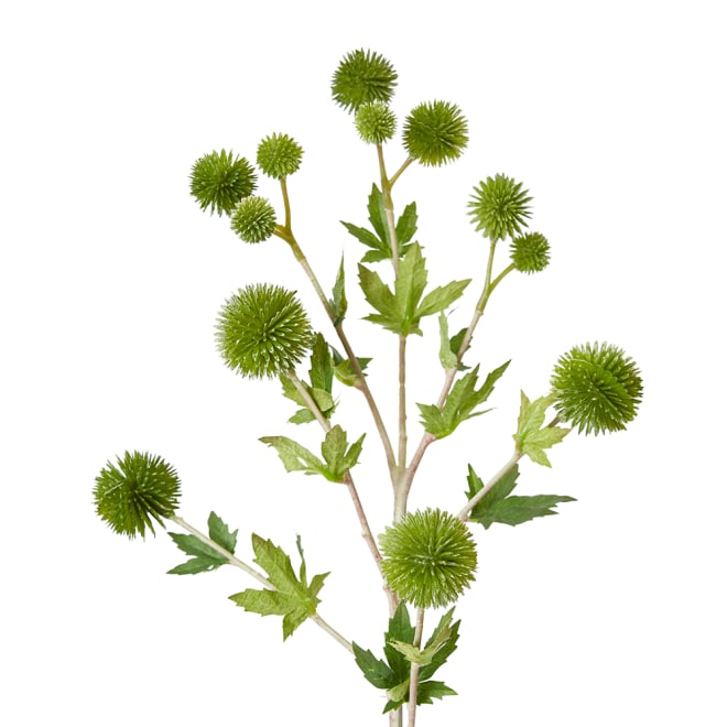 Thistle Ball Spray Pack Of 12 - Green, 66cm (H)