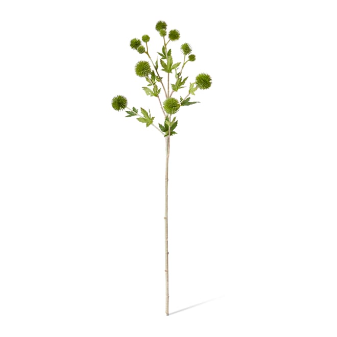 Thistle Ball Spray Pack Of 12 - Green, 66cm (H)