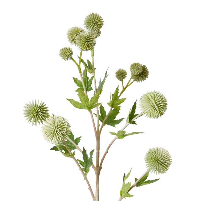 Thistle Ball Spray Pack Of 12 - Grey Green, 66cm (H)