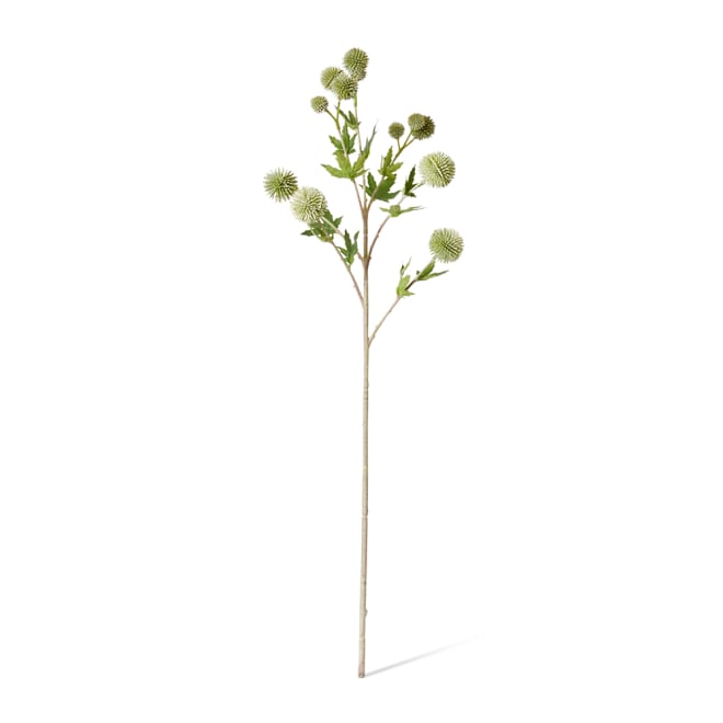Thistle Ball Spray Pack Of 12 - Grey Green, 66cm (H)