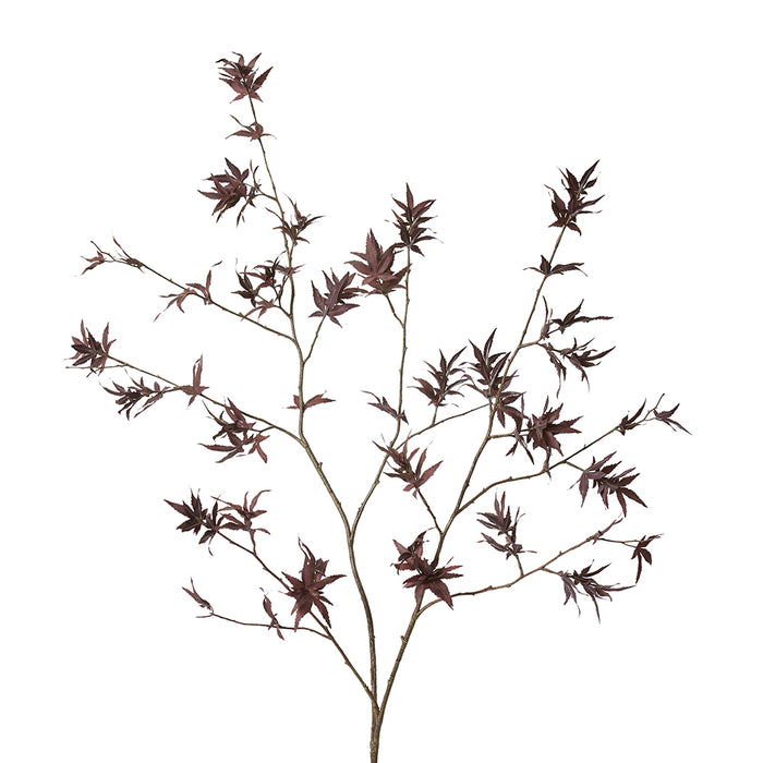 Maple Japanese Stem Pack Of 6 - Burgundy, 140cm (H)
