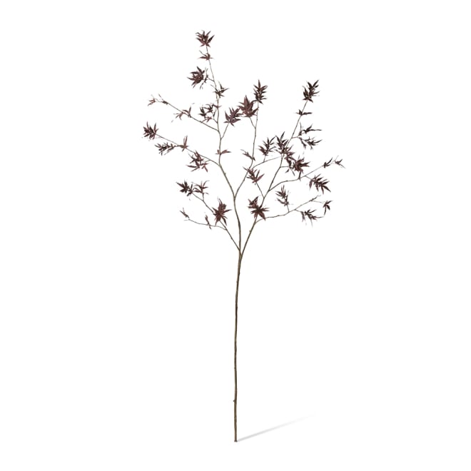 Maple Japanese Stem Pack Of 6 - Burgundy, 140cm (H)