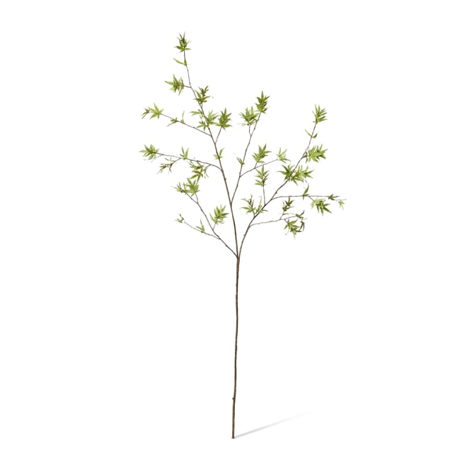 Maple Japanese Stem Pack Of 6 - Green, 140cm (H)