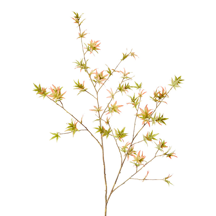 Maple Japanese Stem Pack Of 6 - Pink/Green, 140cm (H)