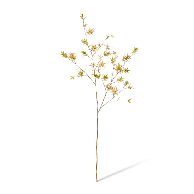 Maple Japanese Stem Pack Of 6 - Pink/Green, 140cm (H)