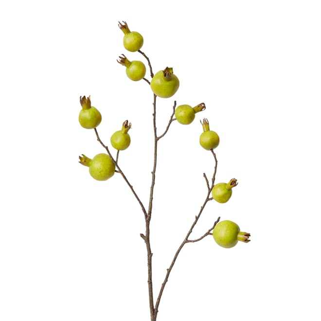 Pomegranate Branch Pack Of 12 - Green, 92cm (H)