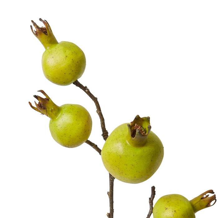 Pomegranate Branch Pack Of 12 - Green, 92cm (H)