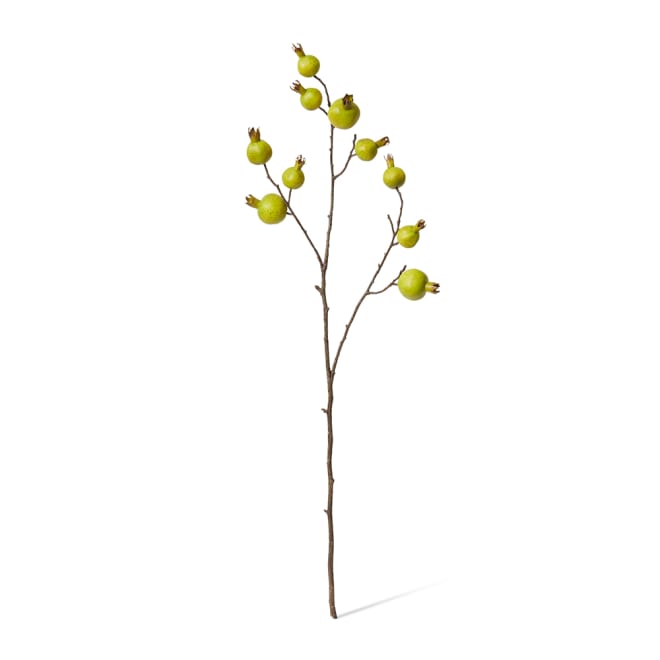 Pomegranate Branch Pack Of 12 - Green, 92cm (H)