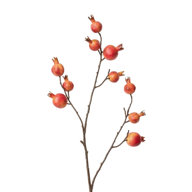 Pomegranate Branch Pack Of 12 - Red, 92cm (H)