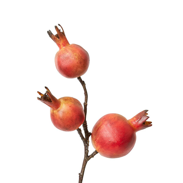 Pomegranate Branch Pack Of 12 - Red, 92cm (H)
