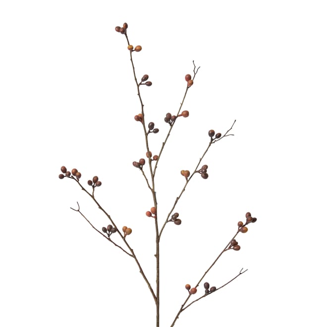 Bean Branch Pack Of 12 - Brown, 103cm (H)