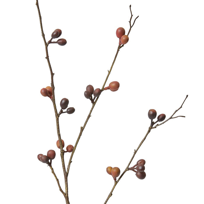 Bean Branch Pack Of 12 - Brown, 103cm (H)