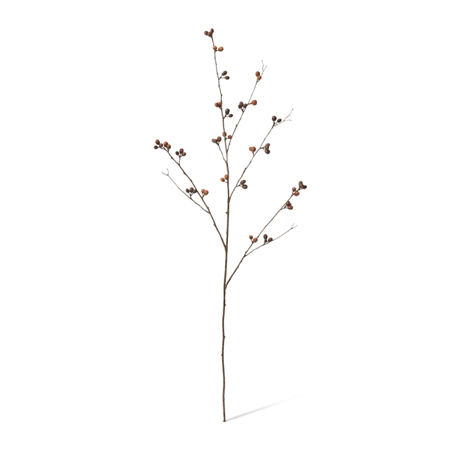 Bean Branch Pack Of 12 - Brown, 103cm (H)
