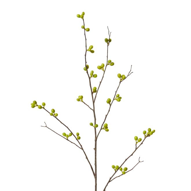 Bean Branch Pack Of 12 - Green, 103cm (H)