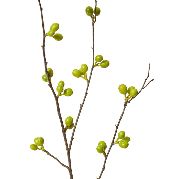 Bean Branch Pack Of 12 - Green, 103cm (H)
