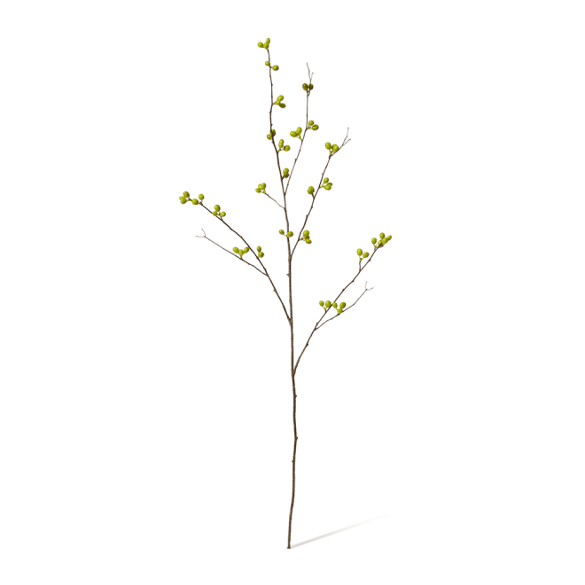Bean Branch Pack Of 12 - Green, 103cm (H)