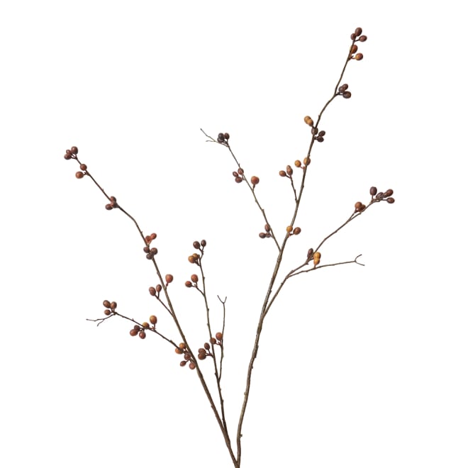 Bean Branch Pack Of 12 - Brown, 129cm (H)