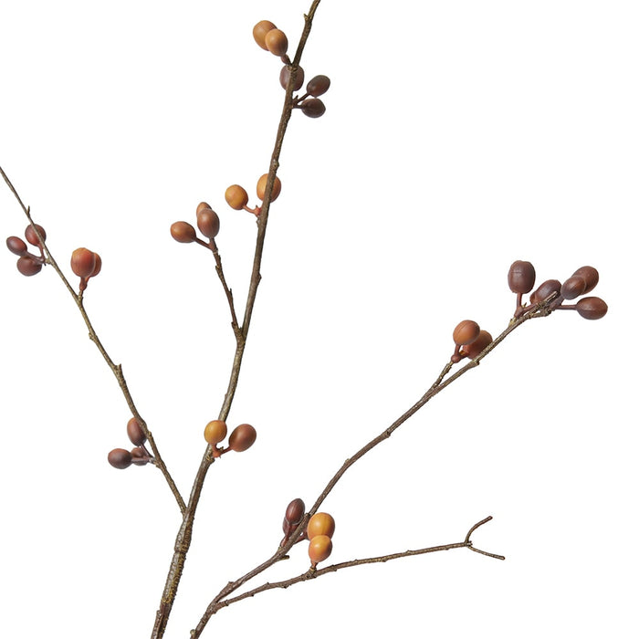 Bean Branch Pack Of 12 - Brown, 129cm (H)