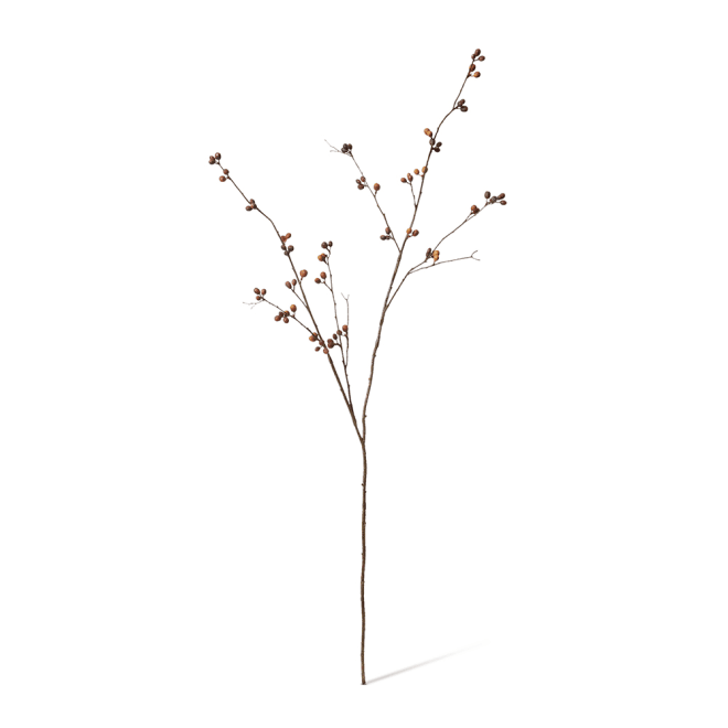 Bean Branch Pack Of 12 - Brown, 129cm (H)
