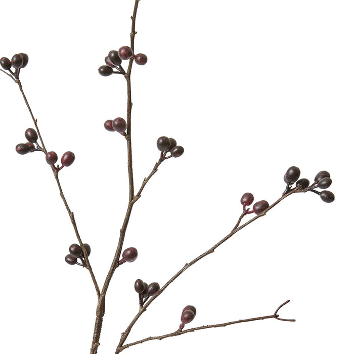 Bean Branch Pack Of 12 - Burgundy, 129cm (H)