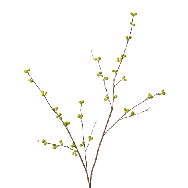 Bean Branch Pack Of 12 - Green, 129cm (H)