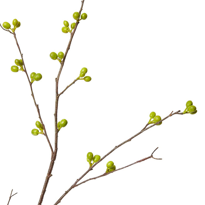 Bean Branch Pack Of 12 - Green, 129cm (H)